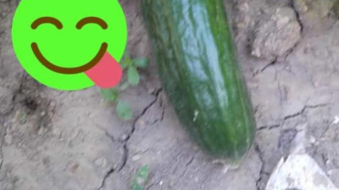 Bu kadının ve bu durumun amacı ne sizce?