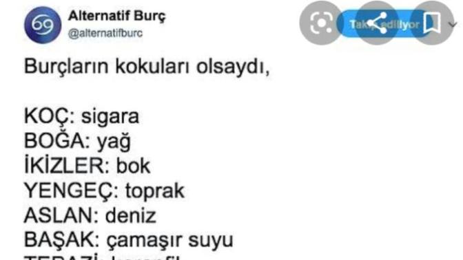 Sizin kokunuz nedir?