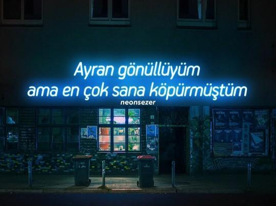 Ayran gönüllü müsünüz?