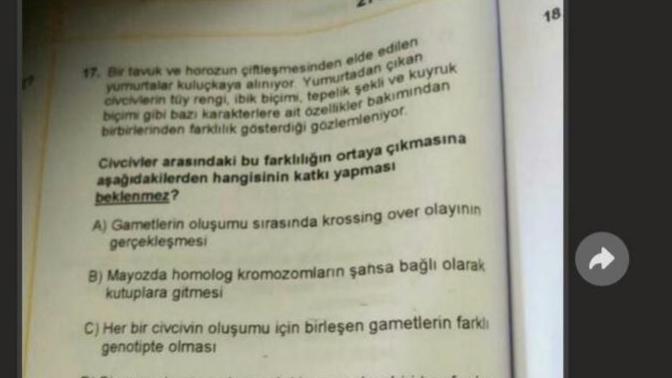 YKS sınav soruları telefon çekilip Kunduz programında çözülmüş. ne düşünüyorsunuz ?