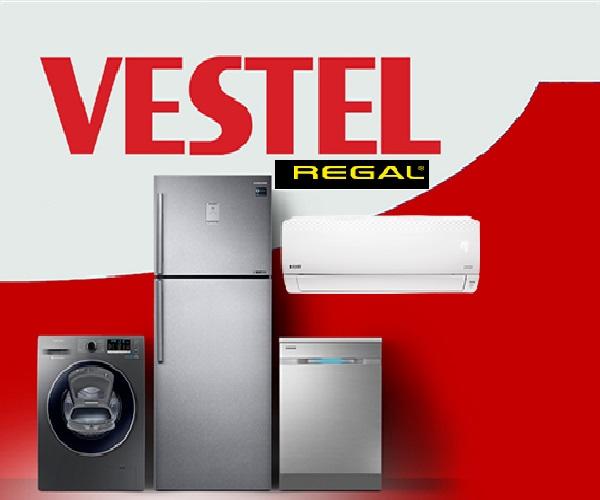Vestel'in yan kuruluşları, markaları hangileri?