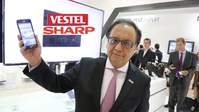 Vestel'in yan kuruluşları, markaları hangileri?