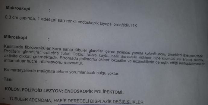 Bağırsak polip patoloji sonucundan anlayan var mı?