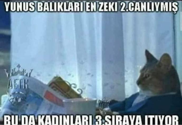 Zeki olduğunuzu düşünüyor musunuz?