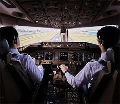Veteriner hekimlik mi Pilotluk mu Avukatlık mı?