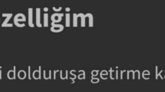En kötü özelliğiniz nedir?