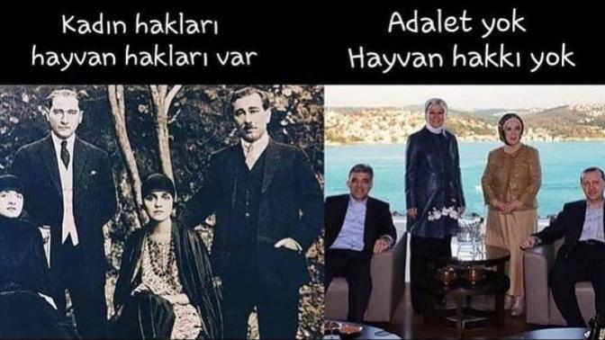 Ak Partinden memnun musunuz?