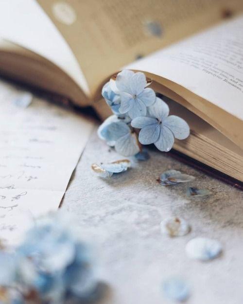 Hayatınız bir kitap olsaydı bu kitabın adı ne olurdu?