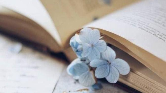 Hayatınız bir kitap olsaydı bu kitabın adı ne olurdu?