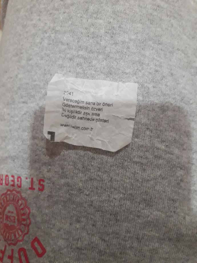 Sizce falım ne demek istiyor😕? Gönlünde yatan bir aslan var mı varsa kim?