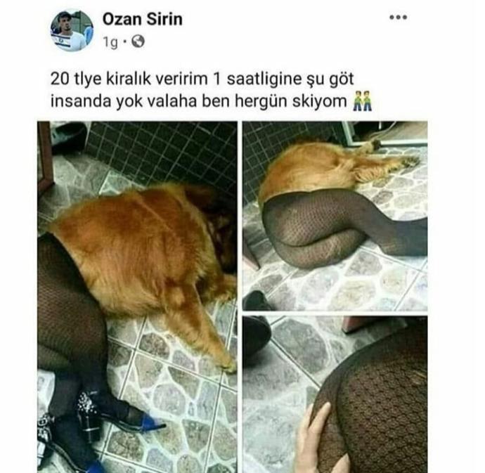 İnsanlık nereye gidiyor?