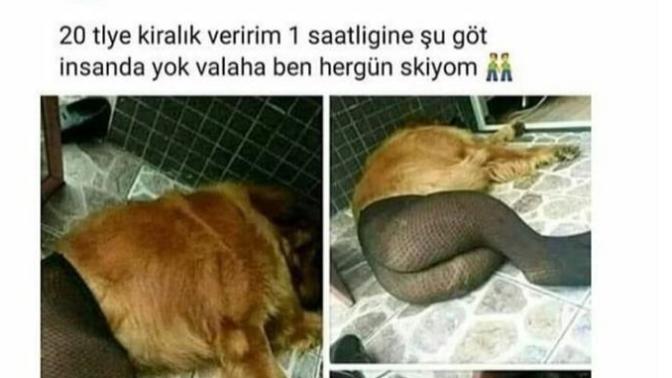 İnsanlık nereye gidiyor?