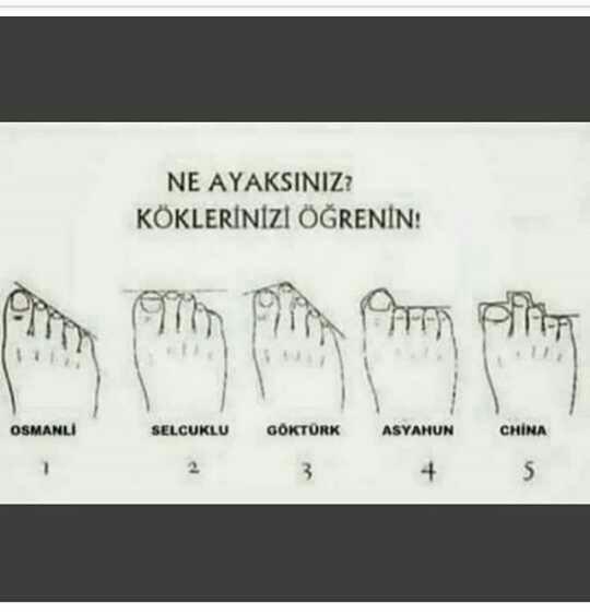 Ayak cinsiniz hangi milletten?