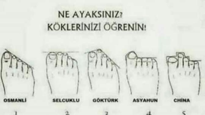 Ayak cinsiniz hangi milletten?