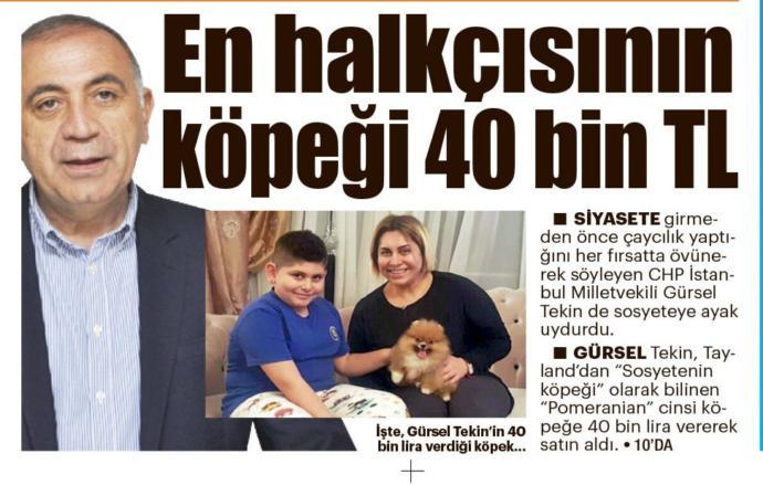Üniversite okumadan yapılabilecek, en çok kazandıran meslek nedir?