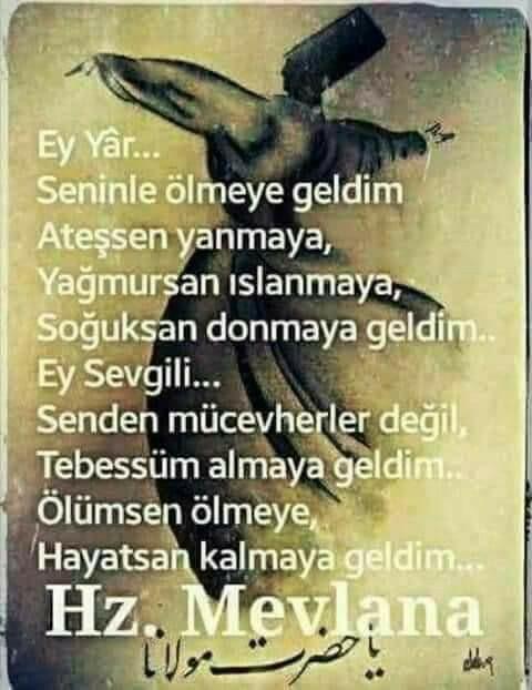 Sevdiceğinizi/eşinizi nasıl seversiniz?