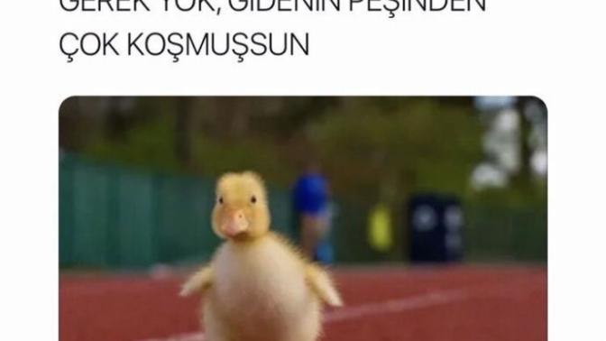 Gidenin peşinden koşar mısınız 🏃🏻‍♀️?