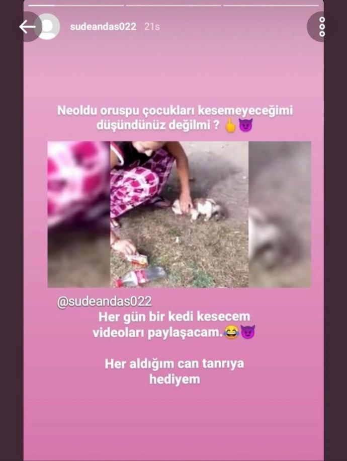 Sude Andas adlı şahıs instagramda kedilere işkence ettiği videoları paylaşıyor. Ne düşünüyorsunuz?