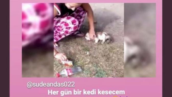 Sude Andas adlı şahıs instagram'da kedilere işkence ettiği videoları paylaşıyor. Ne düşünüyorsunuz?