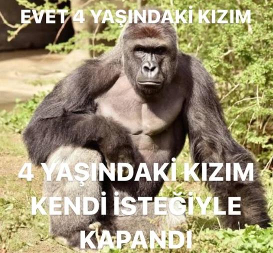 Bu tarz aileler hakkında ne düşünüyorsunuz 😓?
