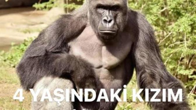 Bu tarz aileler hakkında ne düşünüyorsunuz 😓?