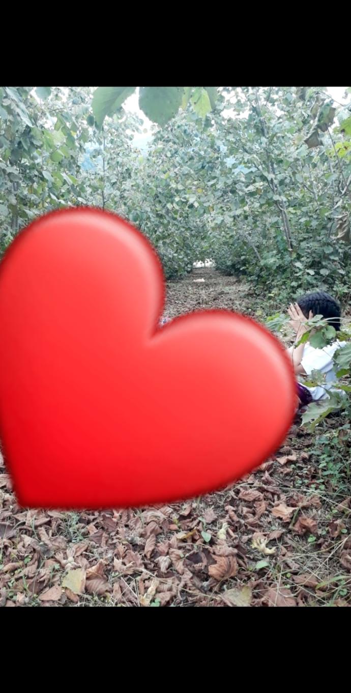 Görselini en iyi ifade eden kısa notunu