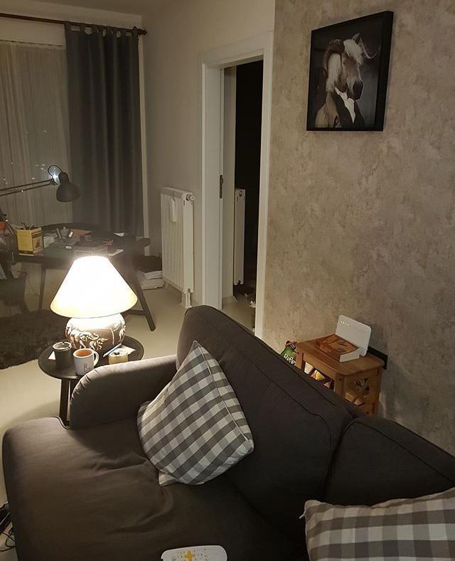 Yarışma miyavı: Akıllı kediler hediyeyi kapar! Senin kedin en son hangi muzipliği yaptı?