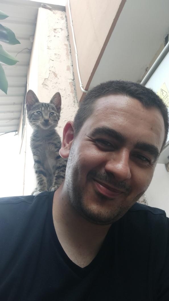 Yarışma miyavı: Akıllı kediler hediyeyi kapar! Senin kedin en son hangi muzipliği yaptı?