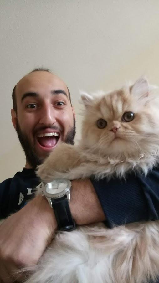 Yarışma miyavı: Akıllı kediler hediyeyi kapar! Senin kedin en son hangi muzipliği yaptı?