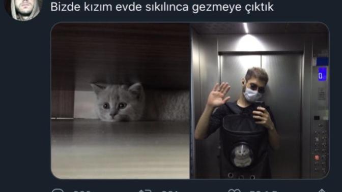 Sizce evcil hayvanların canı sıkılır mı?