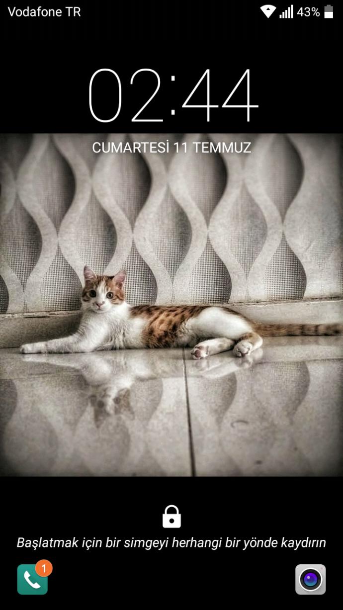 Telefonunuza kendi fotoğrafınızı duvar kağıdı yapar mısınız?