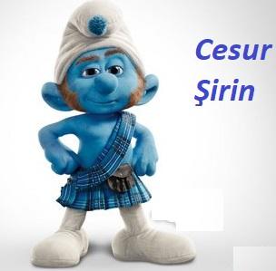 Hangi şirinler karakterisin burcuna göre?