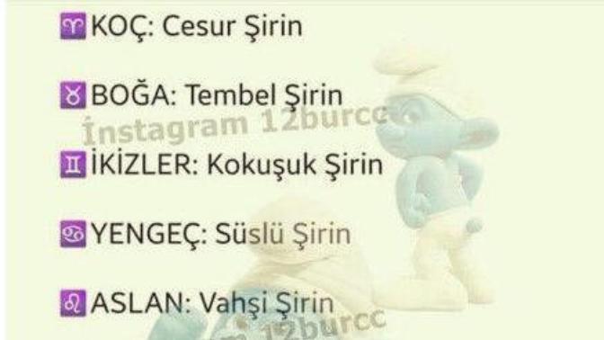 Hangi şirinler karakterisin burcuna göre?