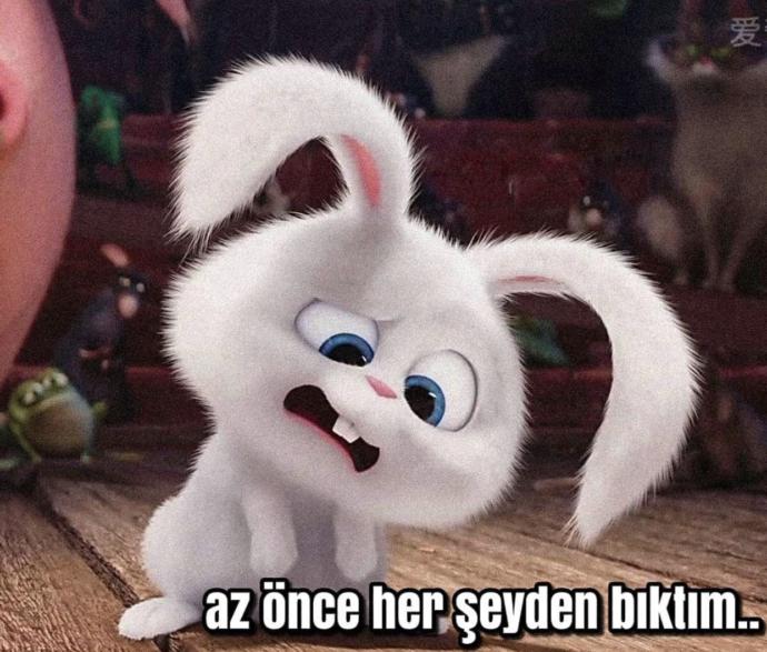 Her şeyden bıkkınlık geldiği zamanlar ne yapıyorsunuz?