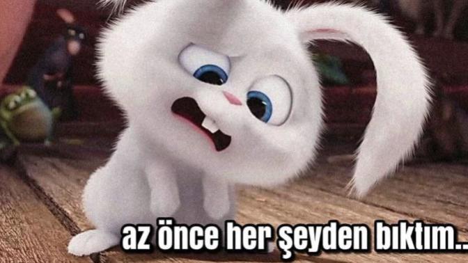 Her şeyden bıkkınlık geldiği zamanlar ne yapıyorsunuz?
