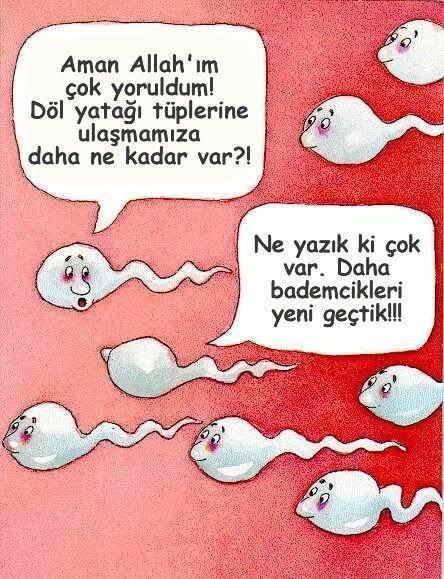Yol tarifi