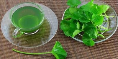 Hangi bitki çayı neye yarar?