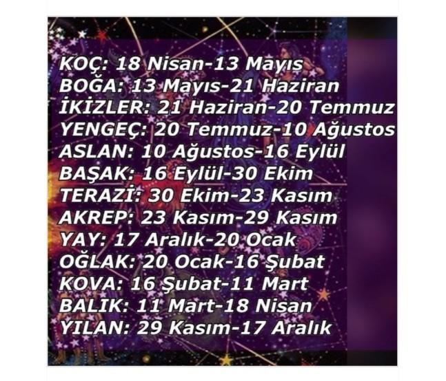 Yeni burcun ne?