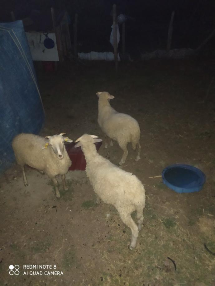 Bazen huzuru burda buluyorum nedense sizde de böyle oluyormu?