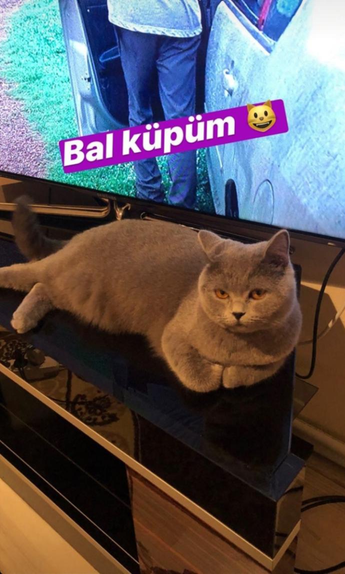 Şakir reis ❤