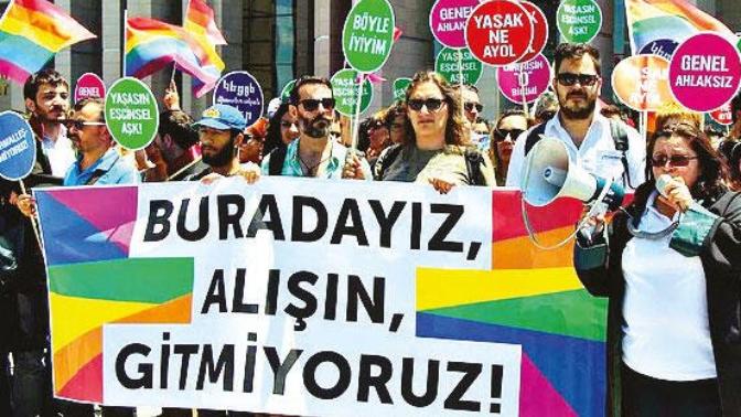 Sence eşcinsellik toplum tarafından kabul edilmeli mi?