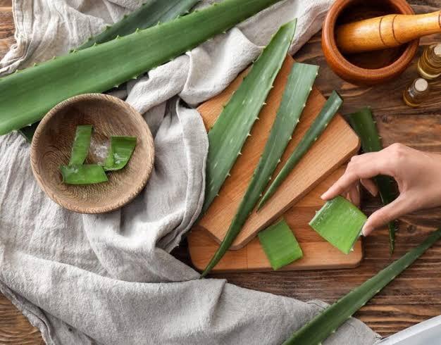 Aloe Vera Çamaşırları Temizler mi?