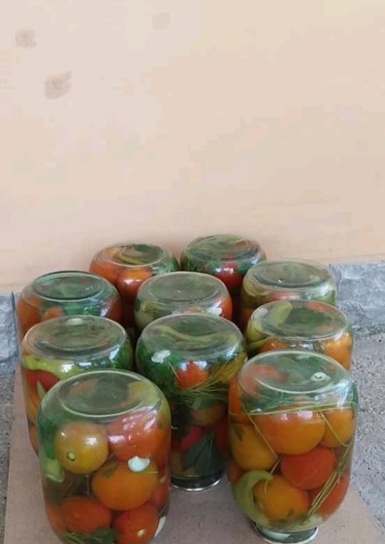 Heyy millet kısa hazırlık gidiyormu?