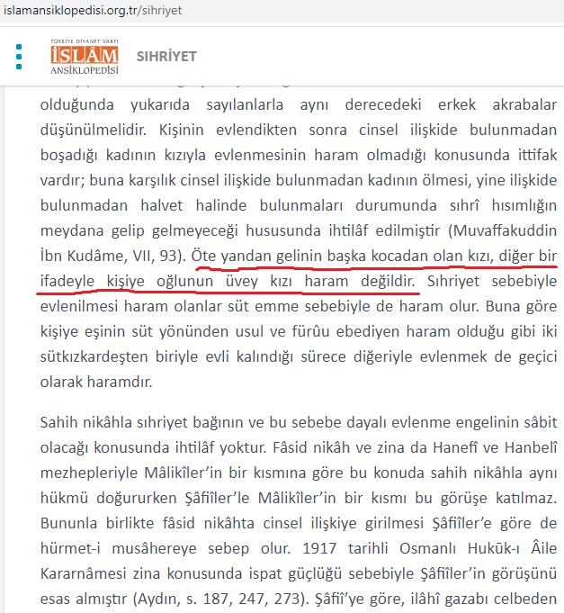 TDV İslam Ansiklopedisi 37. Sıhriyet Maddesi