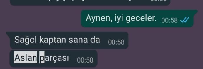 Kız arkadaşlarımın sevgilileri “aşkım, çiçeğim” diye severken benim sevgilim neden beni “aslan parçası” diye seviyor?