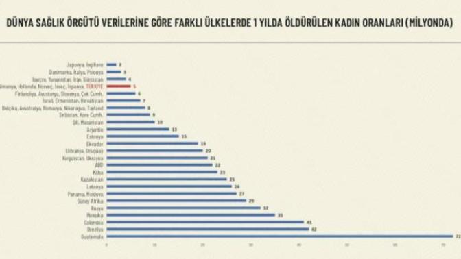 Kadın Cinayetleri Konusunda Ülkeye B*k Atanlar Buradalar Mı?