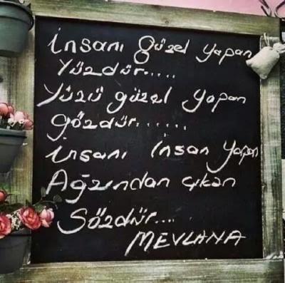 İnsanı insan yapan nedir?