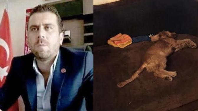 Ankara 'da, kendisine emanet edilen köpeği tecavüz ederek öldüren Volkan Uzun serbest bırakıldı! Neden ceza almıyorlar?