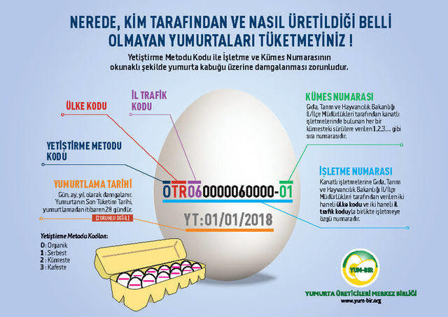 Organik Yumurta Satan Bir Market Zinciri Var mı?