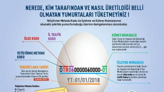 Organik Yumurta Satan Bir Market Zinciri Var mı?